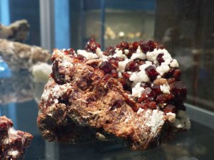 mit sehr schønen Exemplaren - Martin, du weisst bestimmt was das ist... 