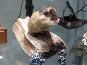 Schønes "Mineral" ;-)