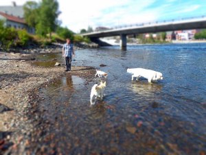 Spielerei mit dem Fotoaparat: der Miniatureffekt