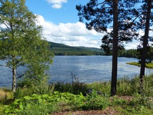 Ruhiger See mitten in der Wildnis auf dem Weg nach Heddal ...