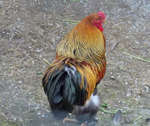 Die Saison war zwar gerade vorbei, ...