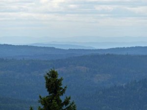 Ausblick in die Wildnis um Oslo vom Tryvannseteren