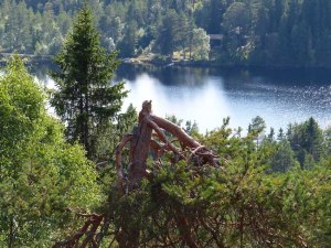 See am Ringkolltoppen