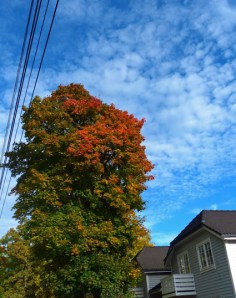 ... fantastische ...