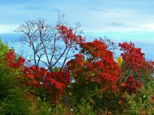 Spaziergang am Sonntag.