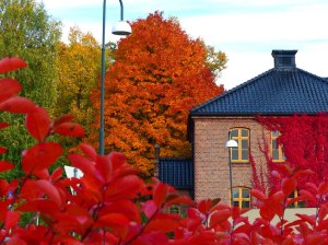 ... und am Gaustad Sykehus, Heute eine Psychatrische Klinik.
