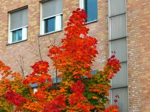 ... mit fantastischen ...