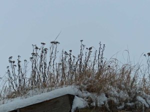 ... alten Bauernhöfen, Stallungen ...