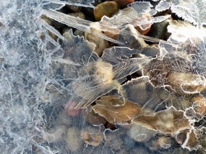 Wie gesagt: Kalt! Eisgebilde ...