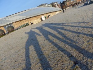 Wintersonne wirft lange Schatten.