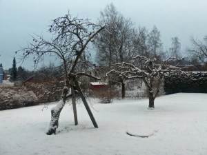 und von der Terrasse