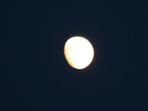 Und fast Vollmond...