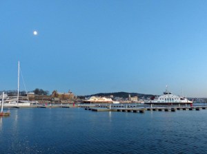 ... und MS Trollfjord.