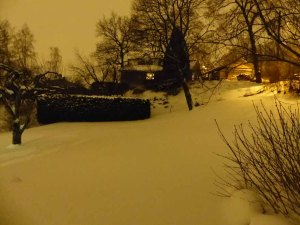 Mein verschneiter Garten bei Nacht (ok, der vor meiner Wohnung, nutzen kann ich den vordersten Teil)