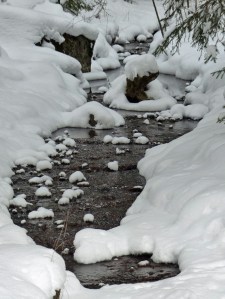 Letztes Jahr war es Kälter!