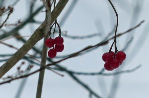 Ein paar vereinzelte Farbtupfer 