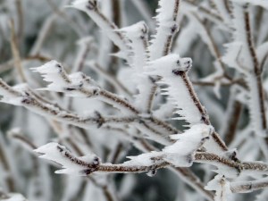 ... und Sturm zusammen kommen... 