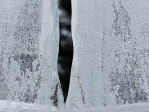 ... Aktion zum Jubiläum ...