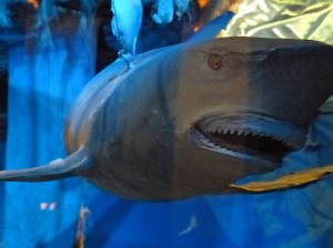 Die Gefahren der Reise ...