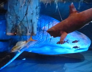 ... wurden unter "Wasser" ...