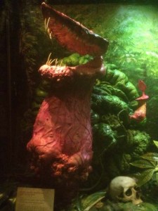 In der Akershus Festung gab es im Fruhling eine Schau der ...