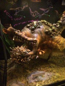 .... die die Fantasie ....