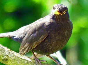 sehr skeptischer Blick