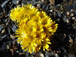 Kakteenhaus im Bot.Garten